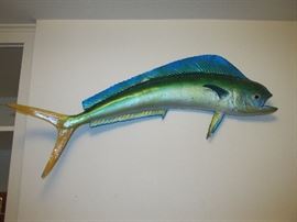 Fish taxidermy