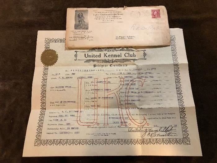  1922 United kennel club ,  Pedegree certificate 
