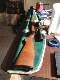 22 caliber rifle with scope