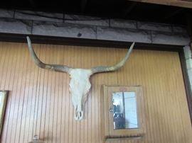 Mounted Long Horn