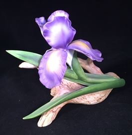 Porcelain Iris