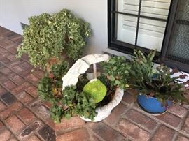 There is quite a collection of outdoor plants, pots, and accessories. 