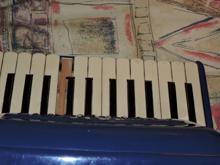 Crucianelli accordion- missing cover on one key