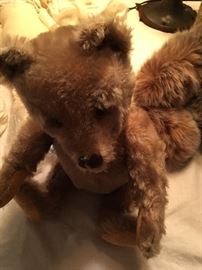 Steiff