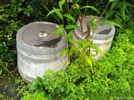 Half whiskey barrel planters