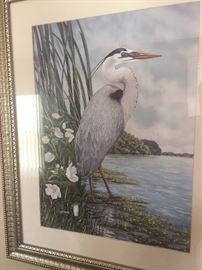 Framed Great Blue Heron Art by JW Harris.