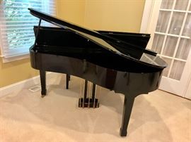 Suzuki Mini-Grande Ensemble HG- 450ex