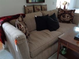 sofa - might be a sleeper?