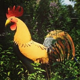 Large rooster, garden statue, over 6'
