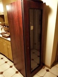 Tall wine fridge 