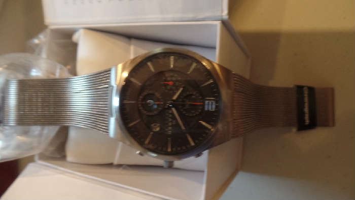 Skagen Titanium 906 XLTTM Men's Watch Retail $225, Sell Now for $100 today $75