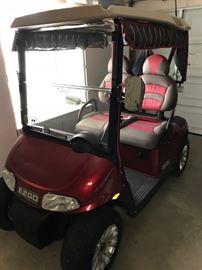 Like New 2013 EZGO Freedom RXV Custom Golf Cart