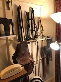 horse tack