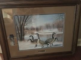 Ducks Unlimited framed prints