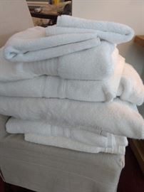  $15.00 Towel Lot.  9 white towels. 