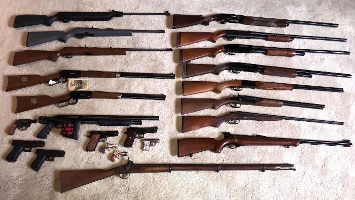 20+ Guns - Rifles, Shotguns & Hanguns