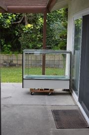 Jewelry Case on Back Patio