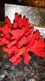 Coral