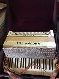 Ancona Accordian
