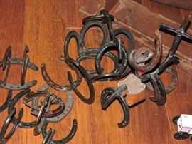Horseshoe art pieces