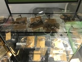 Assortment Of 14K Gold And 10K Gold Jewlery 