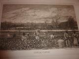 "Picking Cotton" - lithograph/etching by Phillip Sage
Original painting by William Aiken Walker
