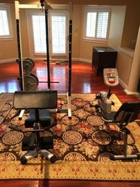 BV Body Vision Weight Bench, Schwinn Recumbent Bike 