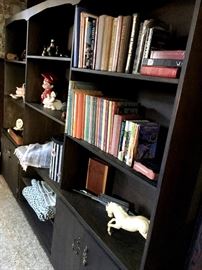 Plenty Of Bookshelves...