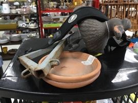 Duck