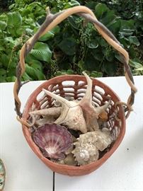 Basket of hard to find shells