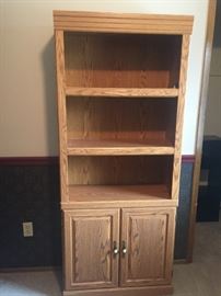 Book Shelf/Cabinet