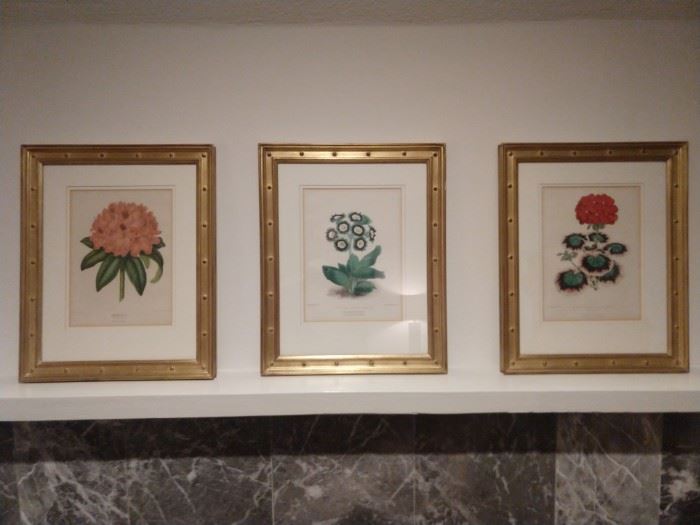 Set/3 nicely matted & framed English botanicals. 