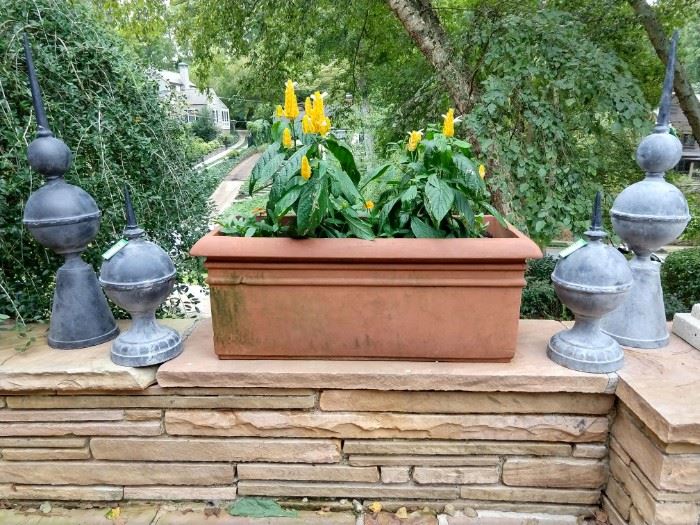 Giant terra cotta rectangular planter (by International Terra Cotta, Inc.) planted with yellow shrimp plant (one of my favs!) flanked by four cast iron finials, just in case.