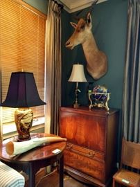 Meet Clyde! He's our resident Red Hartebeest shoulder mount.                                                                                                      He's levitating above a beautifully figured vintage wooden TV cabinet and a gemstone globe.