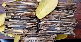 collection of vintage EDISON records