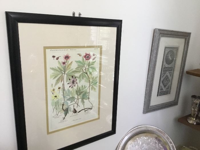 Artwork. Botanical and one of a pair of repro engravings.