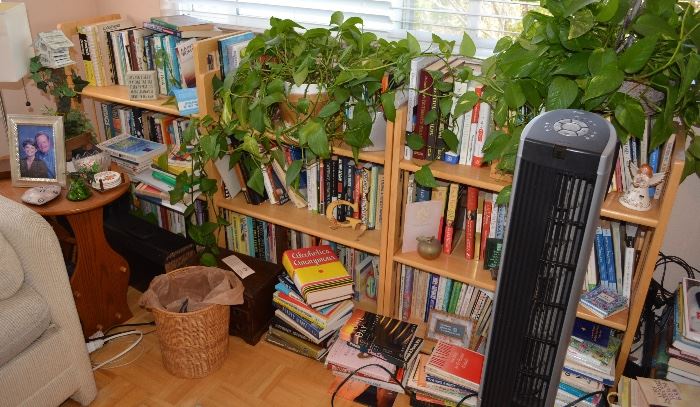 Books and Bookcases