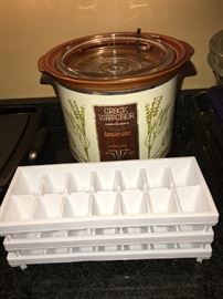 crock pot + ice cube trays