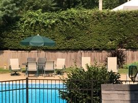 patio table, chairs (6) , lounge chairs (2)