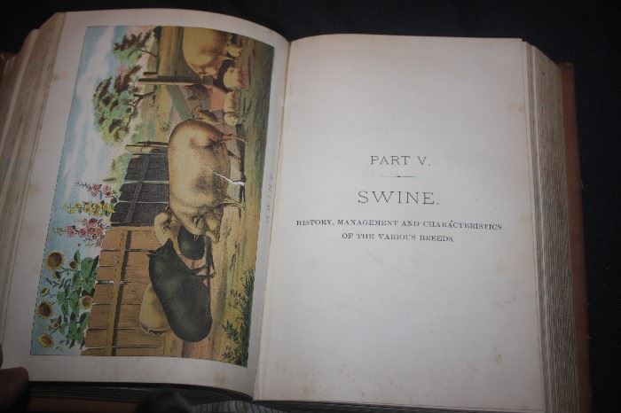 VINTAGE BOOK