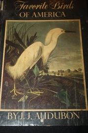 VINTAGE J.J. AUBUBON BOOK