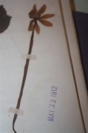 HERB BOOK
