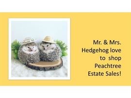 hedgehogs