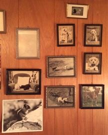 Vintage pet photos