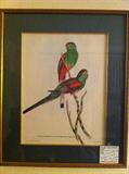 J Gould Print
