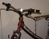 Electric motorized bike