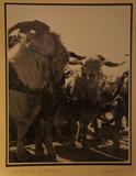 Original black and white photographs