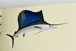 Sail Fish Mount