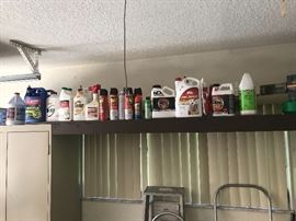 Lot of lawn & bug chemicals