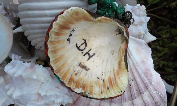 reverse side of pendant, S/N